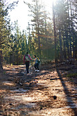 Young couple hiking in sunny woods