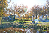 Affectionate couple camping in sunny autumn field