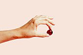 Faceless person holding ripe grapes between fingers on pink background in studio