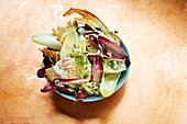 Chicory and treviso salad with toasted bread