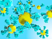 Covid-19 nanoparticle vaccine, illustration