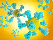 Covid-19 nanoparticle vaccine, illustration