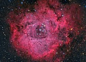 Rosette Nebula