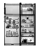 Fridge freezer and its contents, X-ray