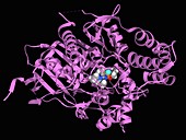 Acetylcholinesterase inhibited by Novichok, illustration