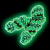 SARS-CoV-2 RNA genome element, illustration