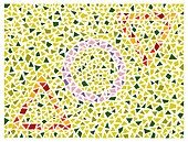 Colour blindness test chart, illustration