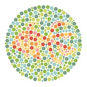 Colour blindness test chart, illustration