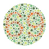Colour blindness test chart, illustration