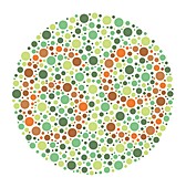 Colour blindness test chart, illustration