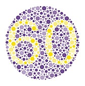 Colour blindness test chart, illustration