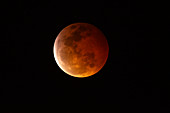 Super blood wolf moon, Honolulu, Oahu, Hawaii, USA