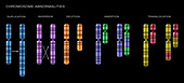 Illustration showing chromosome abnormalities