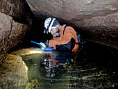 Cave Bioinventory