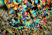 Dopamine, Polarized Light Microscopy