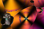 Nicotinamide and Urea Mixture, Polarized Light Microscopy