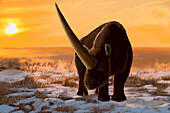 Elasmotherium sibiricum, Pleistocene Rhinoceros