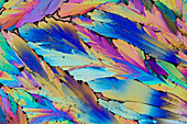 Sertraline Crystals, LM