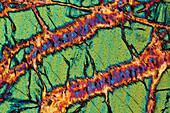 Serpentinized Peridotite, LM