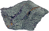 Kostovite