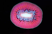 Kiwifruit in UV Light