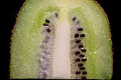 Kiwifruit in White Light