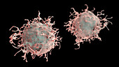 Skin cancer cell, illustration