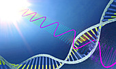 UV radiation damaging DNA, illustration