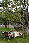 Rustikaler Tisch und Stühle unter altem Apfelbaum im Garten
