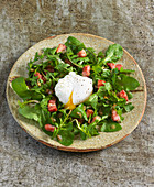 Dandelion salad with bacon and poached eggs