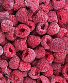 Frozen raspberries (full-frame)