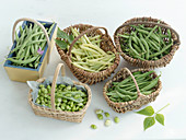 Various kinds of beans