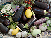 Various aubergines, lemons, garlic and herbs