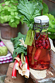 Rhubarb and raspberry vinegar