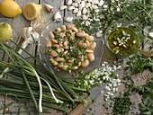 A white bean salad with herbs and spring onions