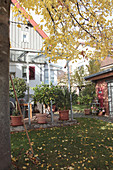 Herbstgarten mit Terrasse, Kübelpflanzen, Überdachung und Herbstlaub