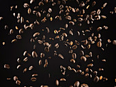 Roasted coffee beans falling against dark backdrop