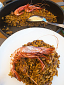 Paella with red shrimp