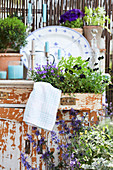 Terrasse mit Deko im Shabby-Look, bepflanzte Schublade mit Hornveilchen und Polsterglockenblume