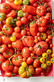 A crate of various types of tomatoes