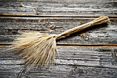 Ears of emmer wheat on a wooden background