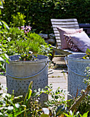 Zinc containers with plants on terrace