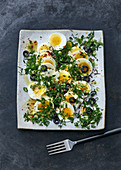 Green herb eggs with black olives