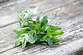 Different types of mint on a wooden table