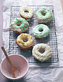 Bunt glasierte Donuts auf Kuchengitter