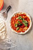 Pizza zubereiten, mit Tomatensauce und Basilikumblättern