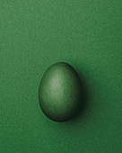 Green Easter egg on a green background