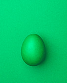 Light green Easter egg on a light green background