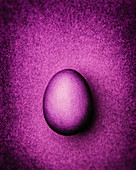 Purple Easter egg on a purple background