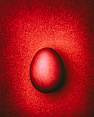 Dark red Easter egg on a dark red background